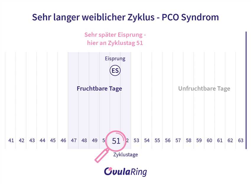 Die fruchtbare Phase im Menstruationszyklus