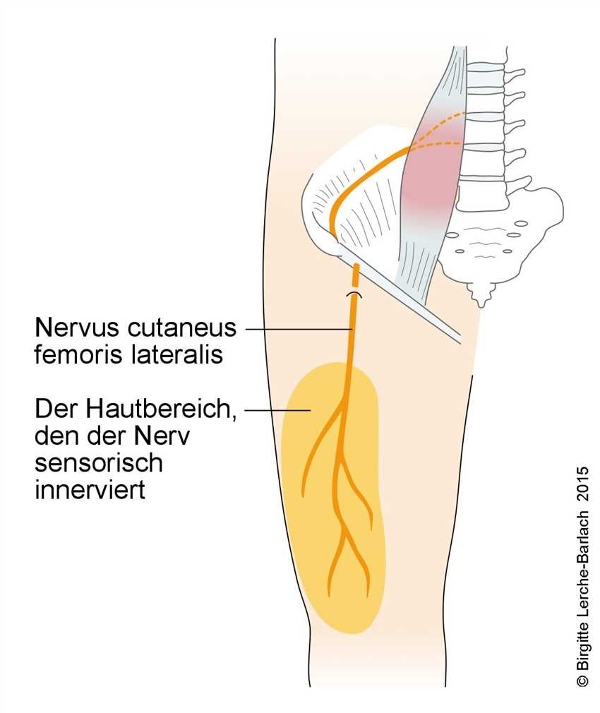 Weitere Symptome