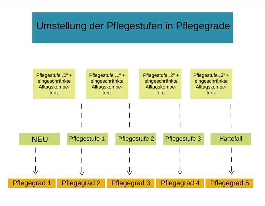 Wie Hoch Ist Das Pflegegeld Bei Pflegegrad 5 Claudiastrauchfussde