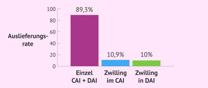 Definition der Zwillinge