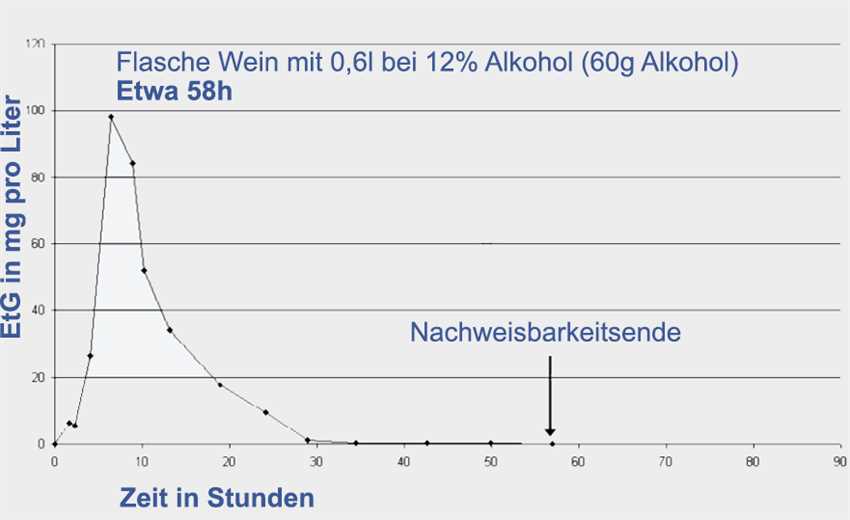 Wie lange bleibt Alkohol im Körper?