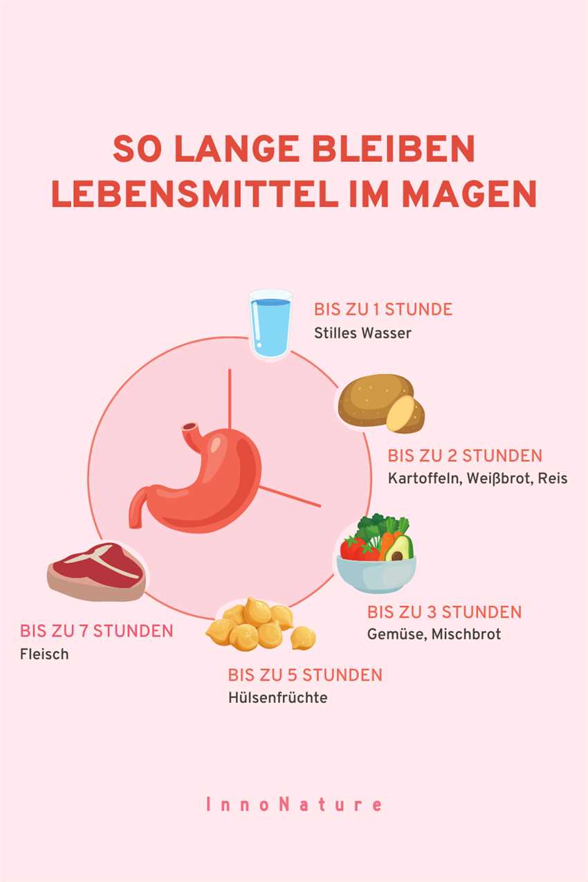 Verdauungsdauer im Magen