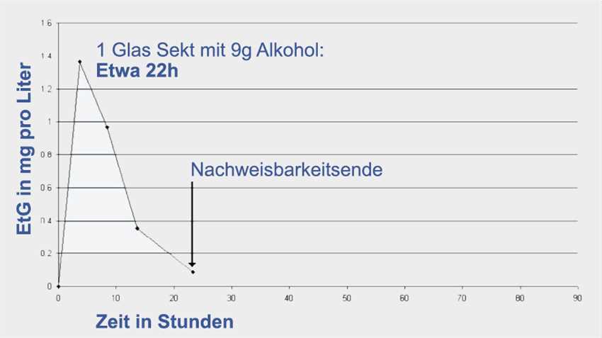Wie kann der Nachweis von Alkohol im Urin vermieden werden?