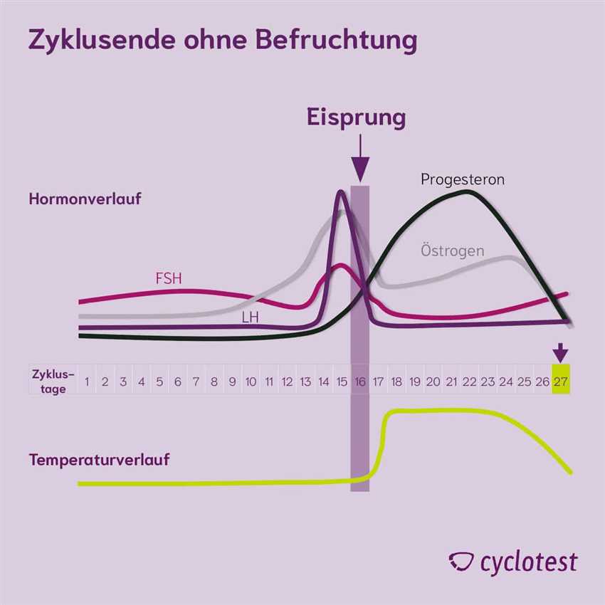 Wie beeinflusst die Zykluslänge die Fruchtbarkeit?