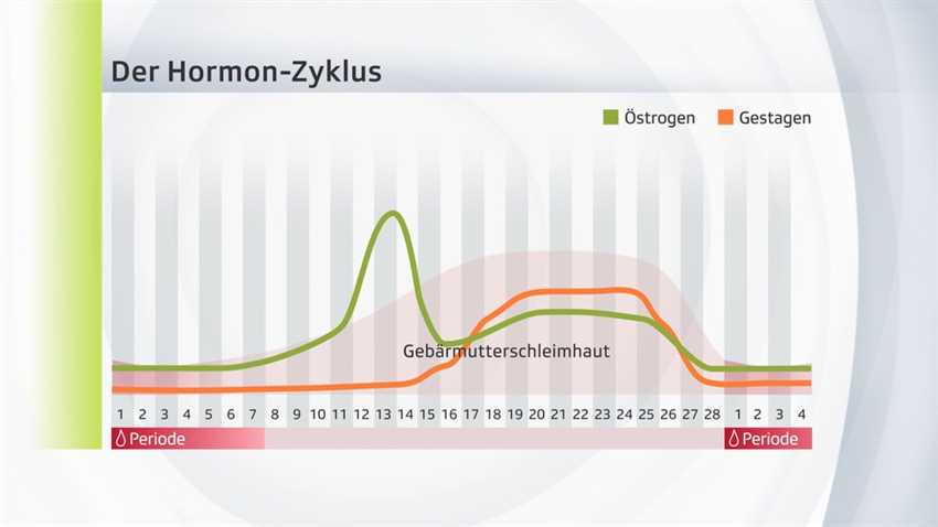 Veränderungen im Zyklus im Auge behalten