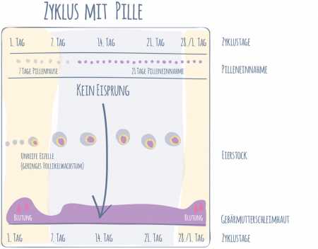 Gewichtsveränderungen: