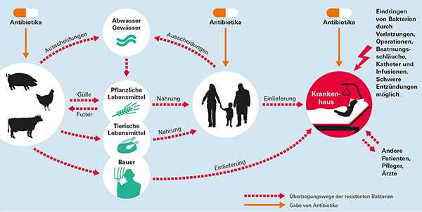 Warum ist es wichtig, die Nachweisbarkeit von Antibiotika im Blut zu kennen?