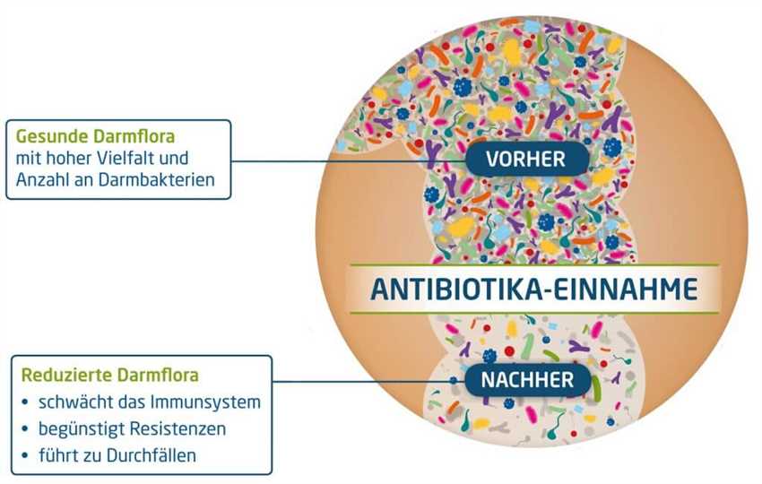 Wie funktioniert der Nachweis von Antibiotika im Blut?