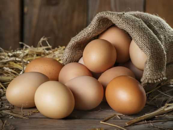 Haltbarkeit von Eiern