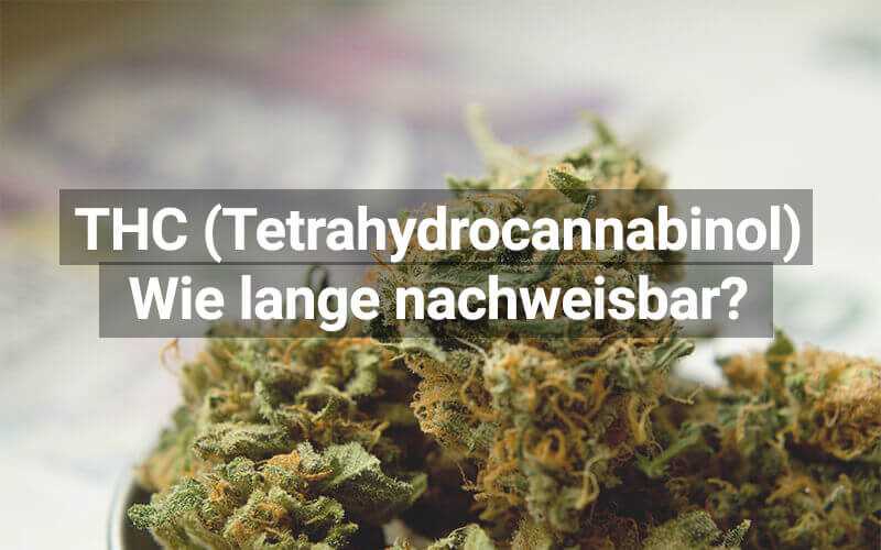 Nachweisbarkeit von THC