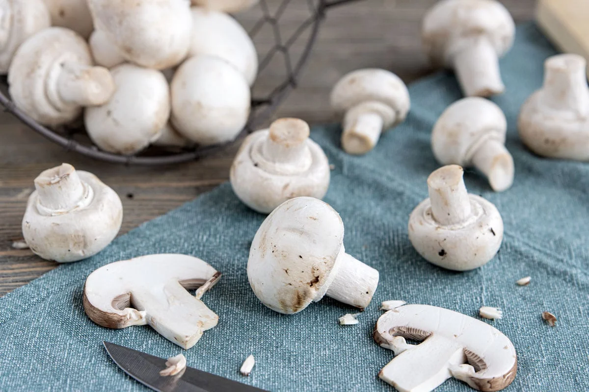 Wie lagert man Champignons richtig?