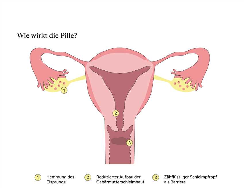 Welche Antibiotika können die Wirkung der Pille beeinträchtigen?