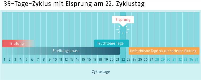 Was kann man tun, um eine Schwangerschaft zu vermeiden?