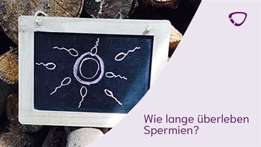 Wie wirkt die Pille auf Spermien?