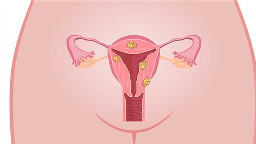 Einfluss von Hormonen auf die Gebärmutter