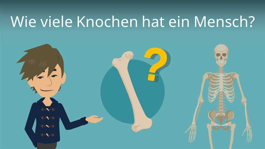 Gesundheitsrisiken bei Verletzungen und Beschädigungen von Knochen