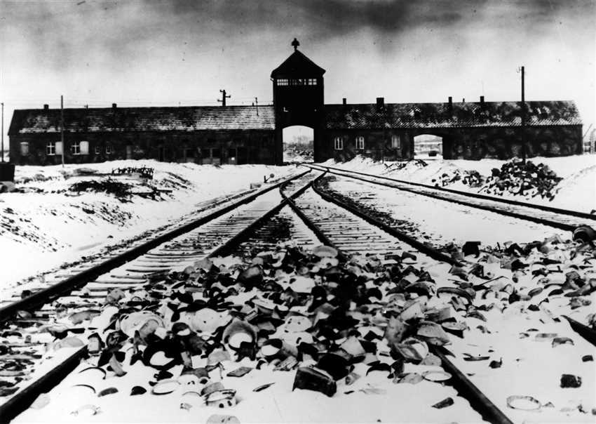 Die genaue Anzahl der Todesopfer von Auschwitz ist schwer zu bestimmen, da die Nazis alle Spuren von Verbrechen vernichten und verbergen wollten. Schätzungsweise 1,1 Millionen Menschen wurden in Auschwitz durch Vergasung, Erschießung oder Hungertod getötet. Unter den Opfern waren auch nicht-jüdische Menschen wie politische Häftlinge, Homosexuelle, Zeugen Jehovas und andere.