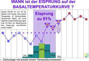 Wie viele Tage nach Eisprung kann man schwanger werden