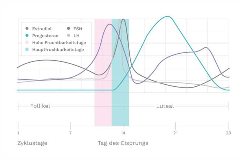 Was ist der Eisprung?