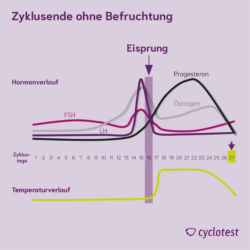 Der Zyklus der Frau