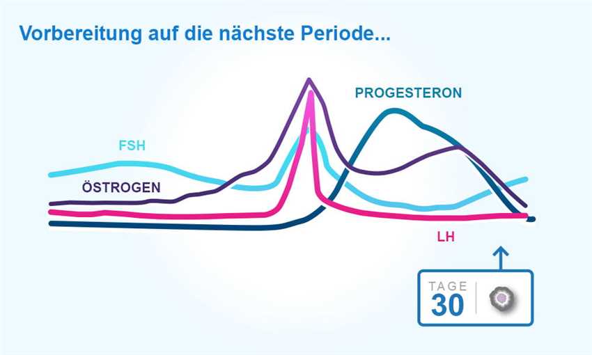 Wie viele Tage sind zwischen Periode und Eisprung?