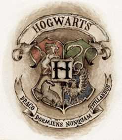 Wie viele Zauberer gibt es insgesamt in Harry Potter?